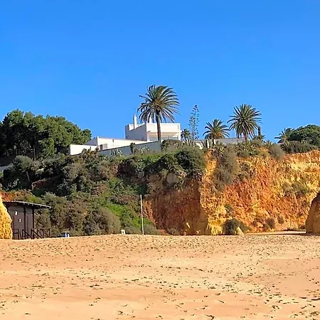 Casa Tres Palmeiras Bed & Breakfast