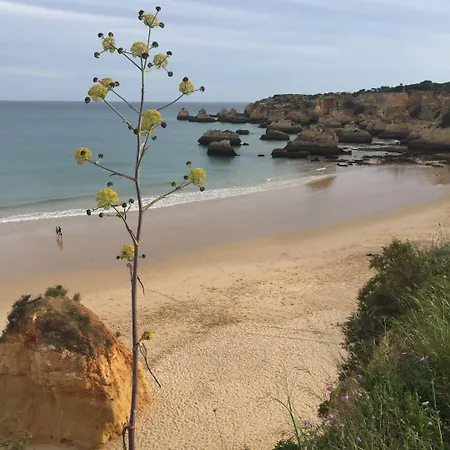 Casa Três Palmeiras 3* Portimão